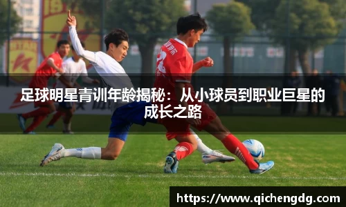 完美体育365官方网站